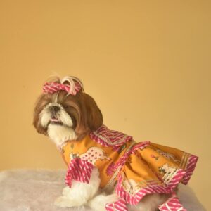 Furvilla Yellow Pink Pichwai Print Lehenga Side